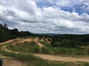 �֥�ȥ������ץȥ졼�˥�