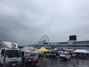 �뼯8�ѵ� �ָ�