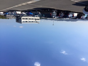 �������������