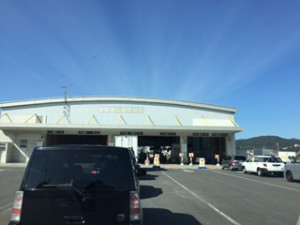 ������Ͽ