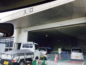 �ڼ�ư�ֶ���