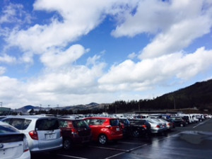 [SPAM] �������������