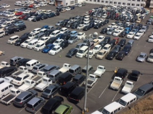 �������������