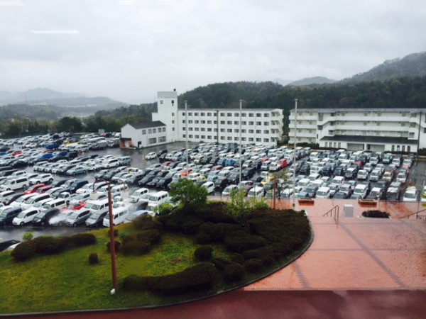 �������������