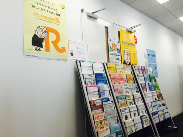 �������ݸ�