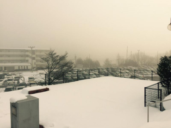 �������������