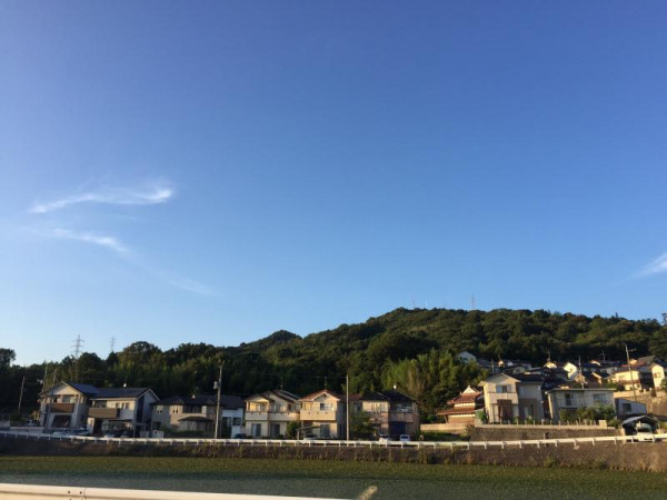 ��ξ�����