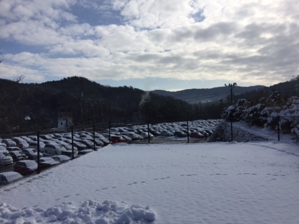 �������������