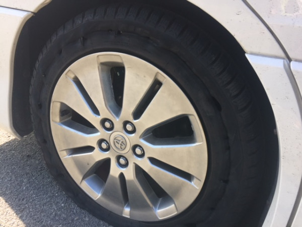 �쥹���塼����